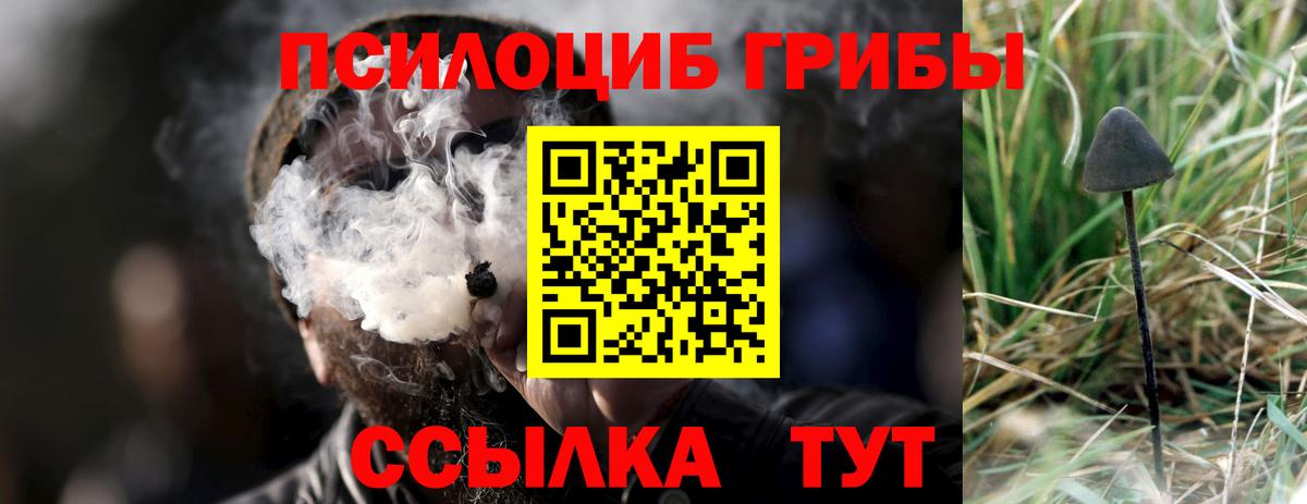 Галлюциногенные грибы GOLDEN TEACHER Татарск
